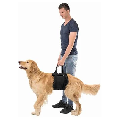 Arnés De Elevación Trixie Para Perros 4 Arnés De Elevación Trixie Para Perros - Imagen 2