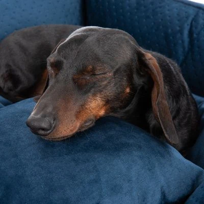 Cama Lublin Modern Living Con Cojín Para Perros 6 Cama Lublin Modern Living Con Cojín Para Perros - Imagen 4