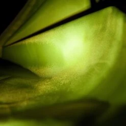 Chubasquero Para Perros Illume Nite Neon -Mascota Suministros Ventas 222247 illume nite 02 4