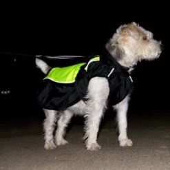Chubasquero Para Perros Illume Nite Neon -Mascota Suministros Ventas 222247 illume nite 35 dsc1934 3