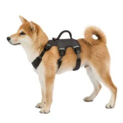 Arnés Ferplast Ergotrekking Negro 23 Arnés Ferplast Ergotrekking Negro -Mascota Suministros Ventas 224508 224509 224510 ferplast ergotrekking geschirr schwarz hs 10 4