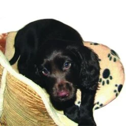 Almohadilla SnuggleSafe -Mascota Suministros Ventas 22802 snugglesafe heizkissen f r haustiere hs dog 1