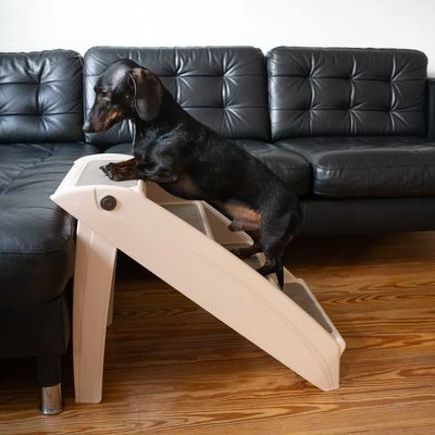 Escalera Easy Up Stairs Para Perros Y Gatos 16 Escalera Easy Up Stairs Para Perros Y Gatos - Imagen 14