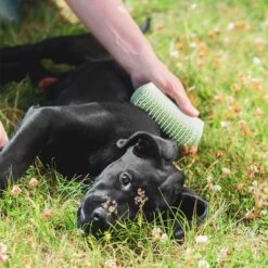 Pet Teezer Cepillo Para Cachorros -Mascota Suministros Ventas 230724 pet teezer welpenbuerste hs 19 6