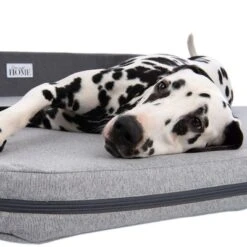 Cama Giant De Espuma Viscoelástica Para Perros 26 Cama Giant De Espuma Viscoelástica Para Perros -Mascota Suministros Ventas 233900 hundebett giant fg 1277 6