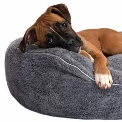 Cama Ortopédica Atlanta Modern Living Para Mascotas 26 Cama Ortopédica Atlanta Modern Living Para Mascotas -Mascota Suministros Ventas 235197 atlanta boxer fg 9717 3