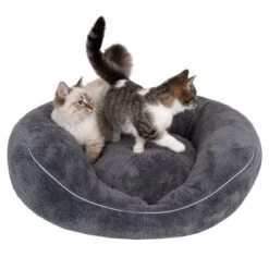 Cama Ortopédica Atlanta Modern Living Para Mascotas 35 Cama Ortopédica Atlanta Modern Living Para Mascotas -Mascota Suministros Ventas 235396 und katze fg 9748 0