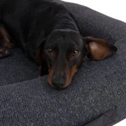 Cama Vienna Modern Living Para Perros 27 Cama Vienna Modern Living Para Perros -Mascota Suministros Ventas 235397 hundebett vienna fg 9662 0