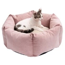 Cama Manila Para Mascotas 23 Cama Manila Para Mascotas -Mascota Suministros Ventas 235399 manila katze fg 0434 8