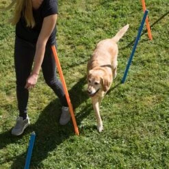 Slalom Agility Fun & Sport -Mascota Suministros Ventas 23798 agility fun sport slalom set fg 25 7
