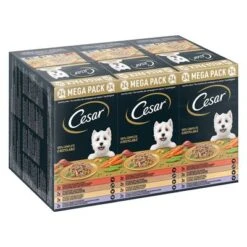 Cesar En Tarrinas 24 X 150 G - Megapack -Mascota Suministros Ventas 251196 pla mars megapack cesar scjale landraagout 24x150g hs 01 3