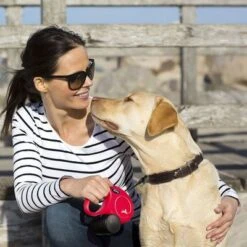 Correa Extensible Flexi New Classic Roja Con Cinta De 5 M -Mascota Suministros Ventas 252998 flexi new lassic gurt leine rot 5m hs 04 1