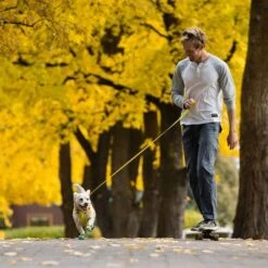 Correa RUFFWEAR Hi & Light Para Perros 25 Correa RUFFWEAR Hi & Light Para Perros -Mascota Suministros Ventas 262501 accapi ruffwear hi light leash lichengreen hs 13 5