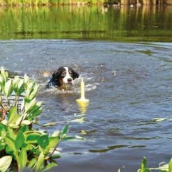 Juguete Trixie Aqua Toy MOT®-Aqua Para Perros 6 Juguete Trixie Aqua Toy MOT®-Aqua Para Perros -Mascota Suministros Ventas 262696 trixie aquatoy mot aqua hs 03 8