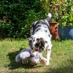 Conejo Elsie De Peluche Para Perros -Mascota Suministros Ventas 267996 elsie mit hund fg 3306 3