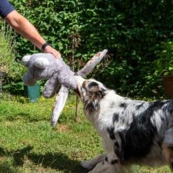 Conejo Elsie De Peluche Para Perros -Mascota Suministros Ventas 267996 elsie mit hund fg 3309 7