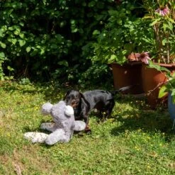 Conejo Elsie De Peluche Para Perros -Mascota Suministros Ventas 267996 elsie mit hund fg 3335 8