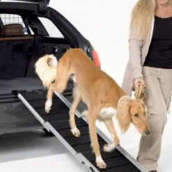 Rampa Kleinmetall DogWalk3 Con Asa Y Cierre Para Perros -Mascota Suministros Ventas 274498 kleinmetall hunderamoe dogwalk3 mit griff und verschluss hs 05 9