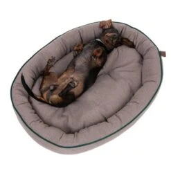 Cama Antibacteriana London Modern Living Para Perros 18 Cama Antibacteriana London Modern Living Para Perros -Mascota Suministros Ventas 274563 hundebett london fg 2761 6