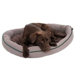 Cama Antibacteriana London Modern Living Para Perros 23 Cama Antibacteriana London Modern Living Para Perros -Mascota Suministros Ventas 274564 labrador fg 2881 0