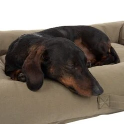 Cama Toronto Modern Living EcoLIFE Para Perros -Mascota Suministros Ventas 274567 hundebett toronto ecolife 80x60cm hs 19 9