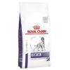 Royal Canin Expert Canine Dental Pienso Para Perros -Mascota Suministros Ventas 284805 pla royalcanin veterinary canine dental kg hs 01 5