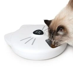 Comedero Automático Catit Pixi Smart 6-Meal -Mascota Suministros Ventas 287496 hagencontainer catit pixi smart 6meal futterautomat hs 11 2