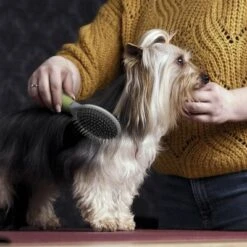 Cepillo De Doble Cara Moser Para Mascotas -Mascota Suministros Ventas 289796 moser beidseitige fellpflegebuerste hs 02 1