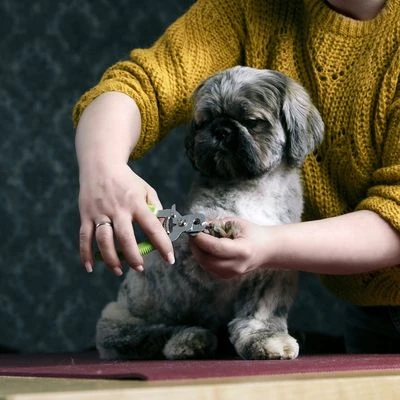 Cortaúñas Moser Para Mascotas 4 Cortaúñas Moser Para Mascotas - Imagen 2