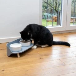 TIAKI Comedero Doble De Cerámica Para Mascotas -Mascota Suministros Ventas 302496 duo napf mit katze fg 0999 5