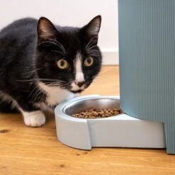 TIAKI Tolva Para Pienso Y Agua, Azul Claro Para Mascotas 25 TIAKI Tolva Para Pienso Y Agua, Azul Claro Para Mascotas -Mascota Suministros Ventas 302496 duo napf mit katze fg 1019 0