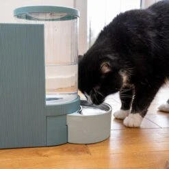 TIAKI Tolva Para Pienso Y Agua, Azul Claro Para Mascotas 41 TIAKI Tolva Para Pienso Y Agua, Azul Claro Para Mascotas -Mascota Suministros Ventas 302496 duo napf mit katze fg 1028 7