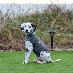 Chaleco Tranquilizante ThunderShirt® Gris Para Perros 24 Chaleco Tranquilizante ThunderShirt® Gris Para Perros -Mascota Suministros Ventas 302696 302697 302796 302797 302896 cevadeutschland thundershirt beruhigungsweste grau hs 08 9