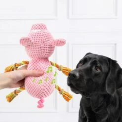Doglove Cerdito De Juguete Para Perros -Mascota Suministros Ventas 303598 edupet doglove hundespielzeug pferd hs 03 7