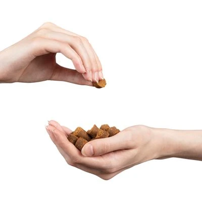 MERA Snacks Mix Para Perros 4 MERA Snacks Mix Para Perros - Imagen 2