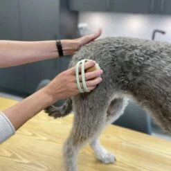 Kooa Cepillo Masajeador Para Gatos 24 Kooa Cepillo Masajeador Para Gatos -Mascota Suministros Ventas 309896 kooa massageb rste f r katzen hs 08 8