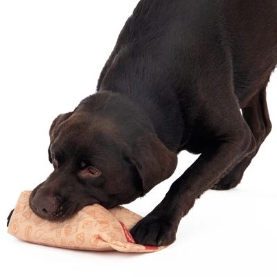 Menú De Hamburguesa Squeaky Juguete Para Perros 12 Menú De Hamburguesa Squeaky Juguete Para Perros - Imagen 10