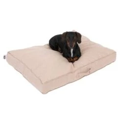 Colchón TIAKI Memory Foam Beige Para Perros -Mascota Suministros Ventas 318697 tiaki hundematratze beige fg 5020 2