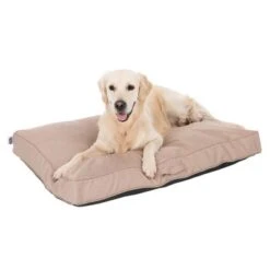 Colchón TIAKI Memory Foam Beige Para Perros -Mascota Suministros Ventas 318698 mit hund fg 5093 8