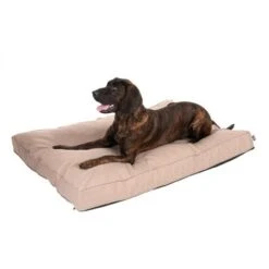 Colchón TIAKI Memory Foam Beige Para Perros -Mascota Suministros Ventas 318699 mit hund fg 5104 1