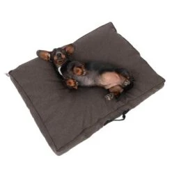 Colchón TIAKI Memory Foam Marrón Para Perros 32 Colchón TIAKI Memory Foam Marrón Para Perros -Mascota Suministros Ventas 318700 tiaki hundematzratze braun fg 5058 5