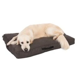 Colchón TIAKI Memory Foam Marrón Para Perros 24 Colchón TIAKI Memory Foam Marrón Para Perros -Mascota Suministros Ventas 318701 mit hund fg 5083 6