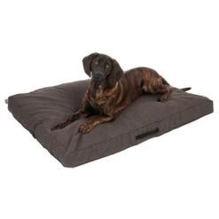 Colchón TIAKI Memory Foam Marrón Para Perros 25 Colchón TIAKI Memory Foam Marrón Para Perros -Mascota Suministros Ventas 318702 mit hund fg 5116 0