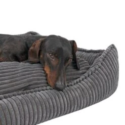 Cama Modern Living Helena Para Perros 41 Cama Modern Living Helena Para Perros -Mascota Suministros Ventas 320397 hundebett helena grau fg 2233 5