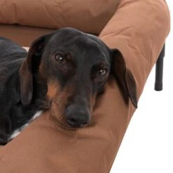 Sofá TIAKI Sun Cream Para Perros 29 Sofá TIAKI Sun Cream Para Perros -Mascota Suministros Ventas 320897 tiaki hundesofa sun cream fg 8401 8