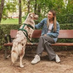 Arnés Nomad Tales Blush Esmeralda Para Perros -Mascota Suministros Ventas 323020 nomad tales blush geschirr emerald 02 8