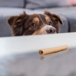 SmartBones Palitos Enrollados Con Pollo Para Perros -Mascota Suministros Ventas 324401 smartsticks wrapped kausticks huhn stck hs 04 8