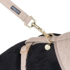 Correa Nomad Tales Calma Arena Para Perros -Mascota Suministros Ventas 324713 calma fg 7811 0