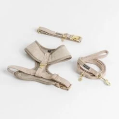 Correa Nomad Tales Calma Arena Para Perros -Mascota Suministros Ventas 326198 326096 nomad tales calma halsband ebony 01 2