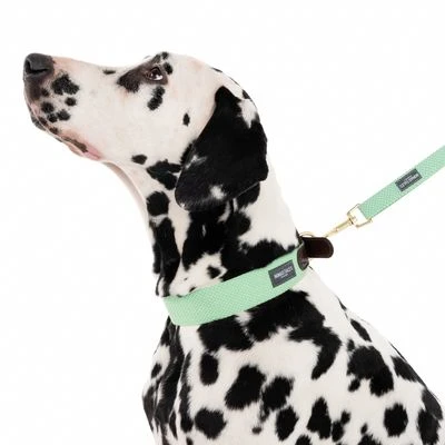 Correa Nomad Tales Bloom Menta Para Perros 12 Correa Nomad Tales Bloom Menta Para Perros - Imagen 10